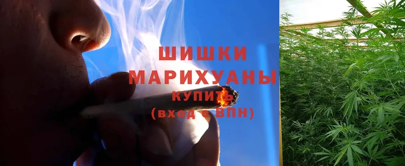 Шишки марихуана White Widow  Городовиковск 